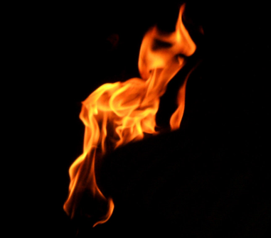 Er det berre idioti det vi driv med?