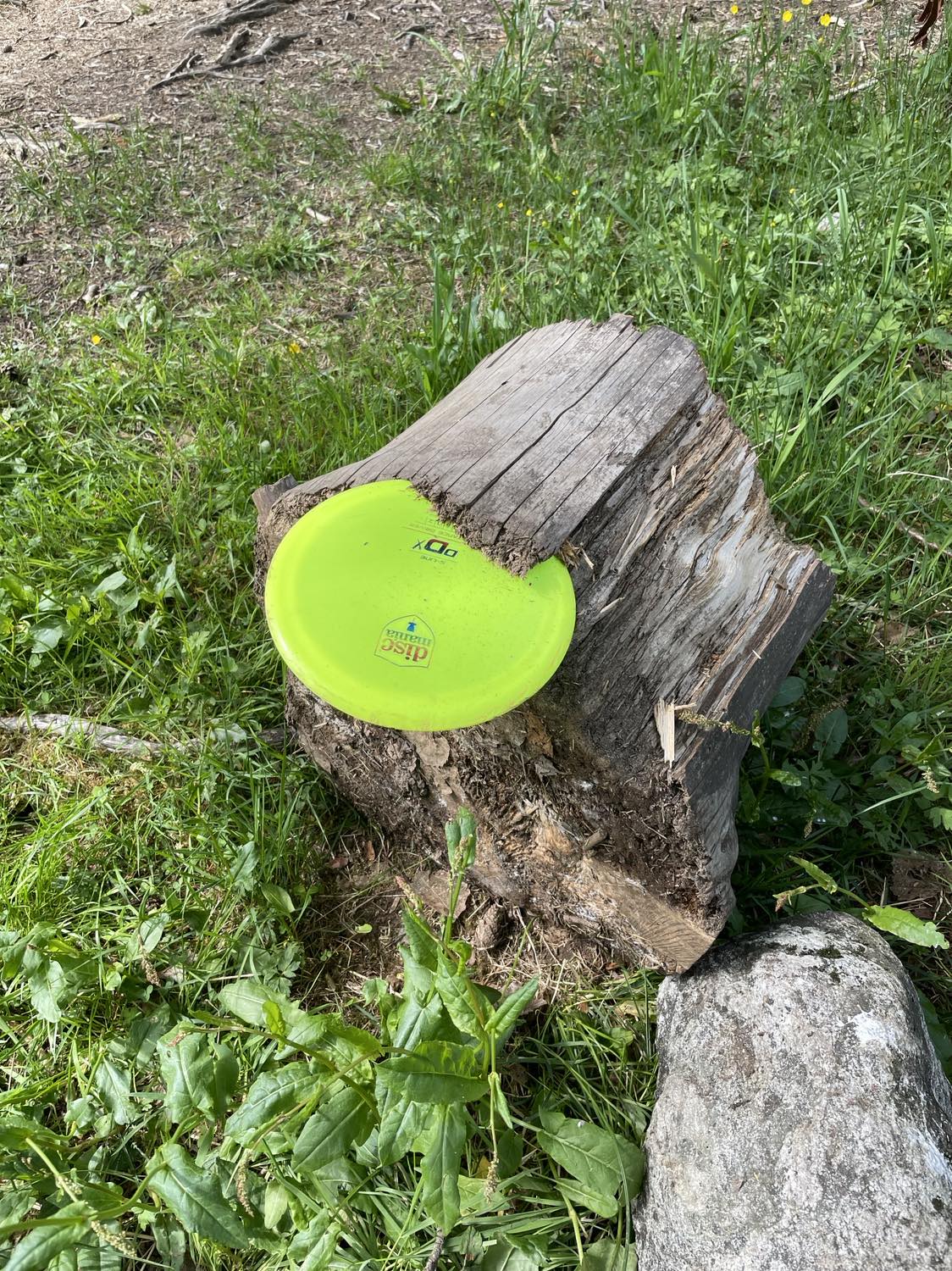 Sunnmørstour 2024 vitjar Lømyra til helga